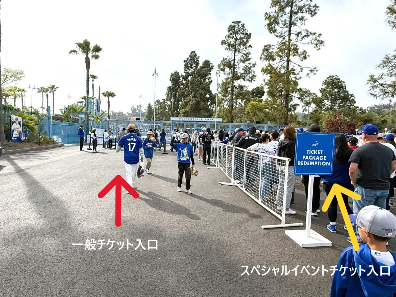ドジャースタジアム　スペシャルイベントチケット