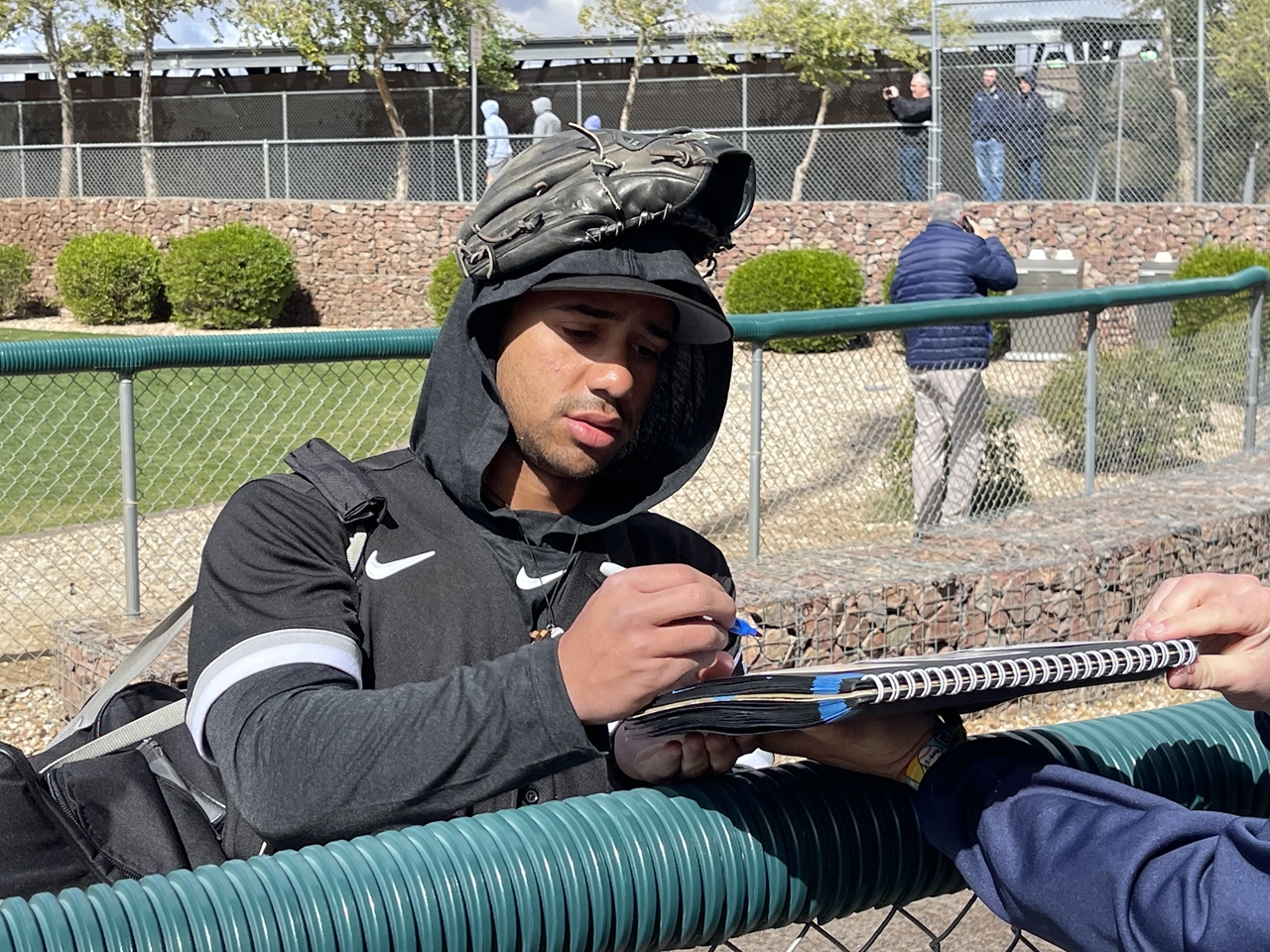 スプリングトレーニング　サイン